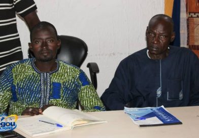 SYNERGIE DES EXPLOITANTS AGRICOLES DE L’OFFICE DU NIGER (SEXAGON): plaidoyer pour l’intégration du genre dans le mécanisme de gouvernance foncière